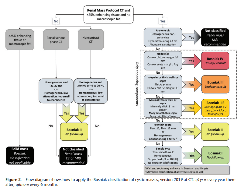 Bosniak Pathway 2019