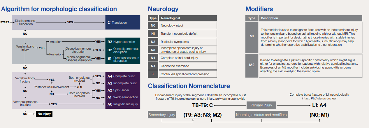 AO Thoracolumbar Injury score