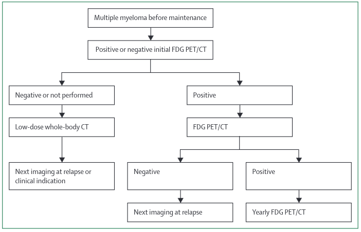 Myeloma Treatment Response